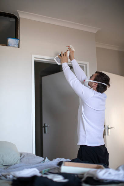 Best Mold Damage Restoration  in Robesonia, PA