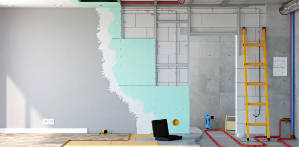 Best Real Estate Mold Inspection  in Robesonia, PA