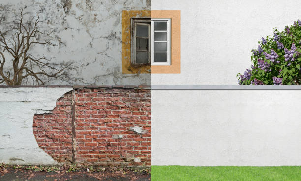 Reliable Robesonia, PA Mold Removal Solutions