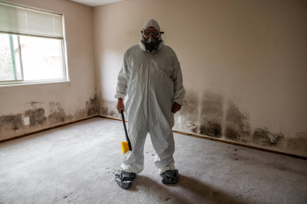 Mold Remediation for Vacation Homes in Robesonia, PA