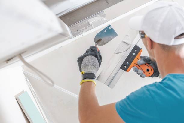 Best Mold Remediation for Healthcare Facilities  in Robesonia, PA